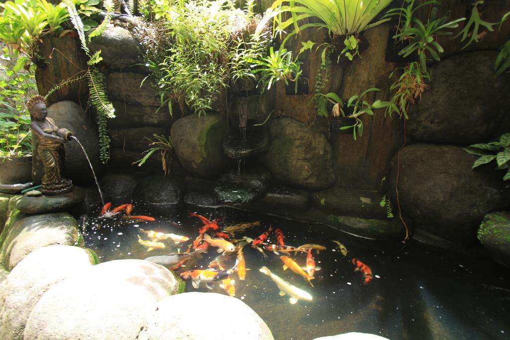 Baba Homestay Ubud Exterior foto